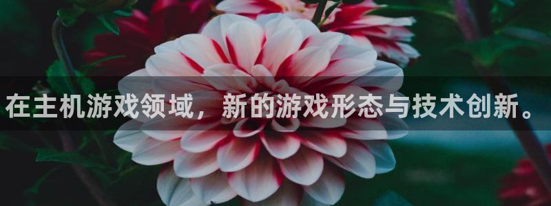 沐春赢咖娱乐：在主机游戏领域，新的游戏形态与技术创新。