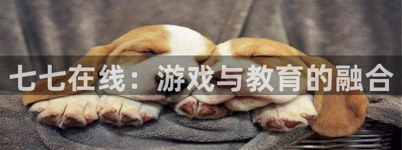 赢咖娱乐2首页登录：七七在线：游戏与教育的融合