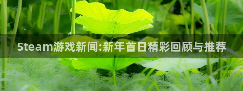 赢咖娱乐注册平台：Steam游戏新闻:新年首日精彩回顾与推荐