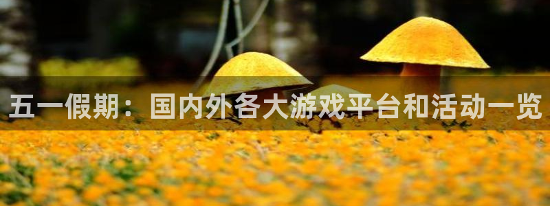 赢咖娱乐2登录：五一假期：国内外各大游戏平台和活动一览