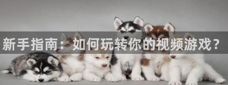 赢咖娱乐app下载地址：新手指南：如何玩转你的视频游戏？