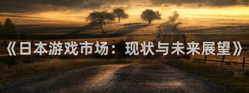 赢咖娱乐平台官网入口：《日本游戏市场：现状与未来展望》
