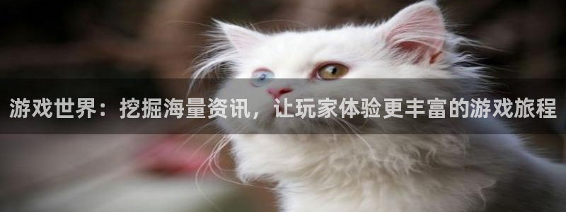 赢咖娱乐娱乐是真的吗：游戏世界：挖掘海量资讯，让玩家体验更丰