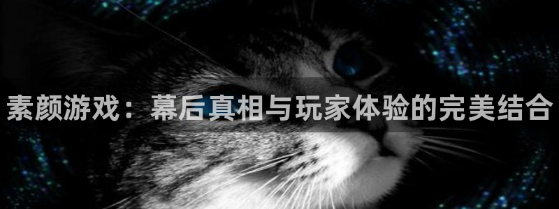 赢咖娱乐注册地址：素颜游戏：幕后真相与玩家体验的完美结合