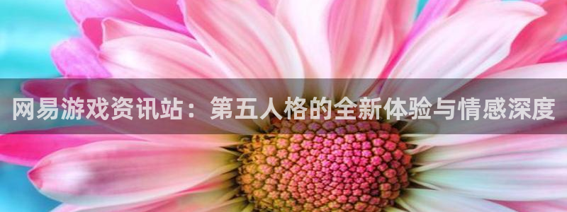 赢咖娱乐主管：网易游戏资讯站：第五人格的全新体验与情感深度