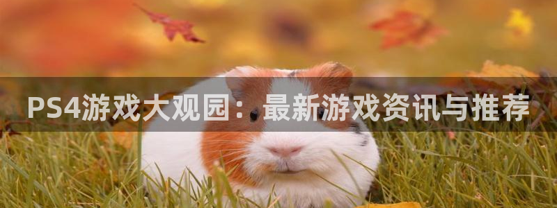 赢咖娱乐注册登录平台：PS4游戏大观园：最新游戏资讯与推荐