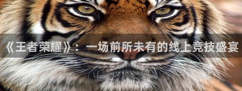 赢咖娱乐2首页登录：《王者荣耀》：一场前所未有的线上竞技盛宴