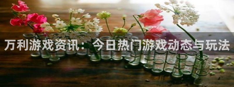 赢咖娱乐主管：万利游戏资讯：今日热门游戏动态与玩法