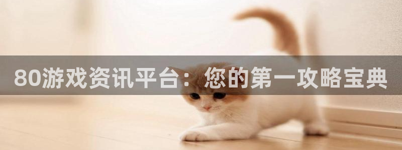 赢咖娱乐平台负责人