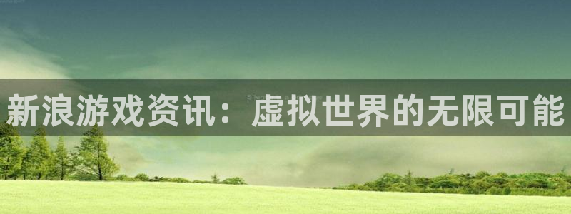 赢咖娱乐的意思：新浪游戏资讯：虚拟世界的无限可能
