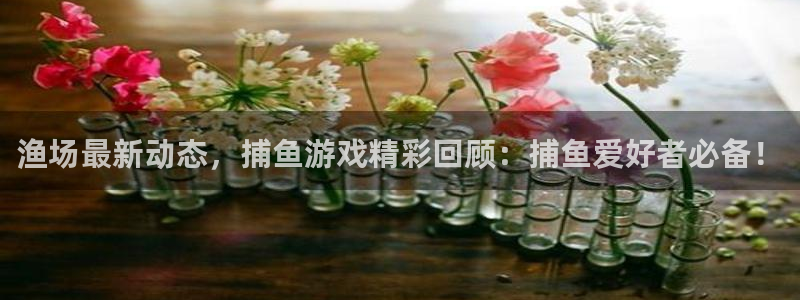 赢咖娱乐网址注册：渔场最新动态，捕鱼游戏精彩回顾：捕鱼爱好者